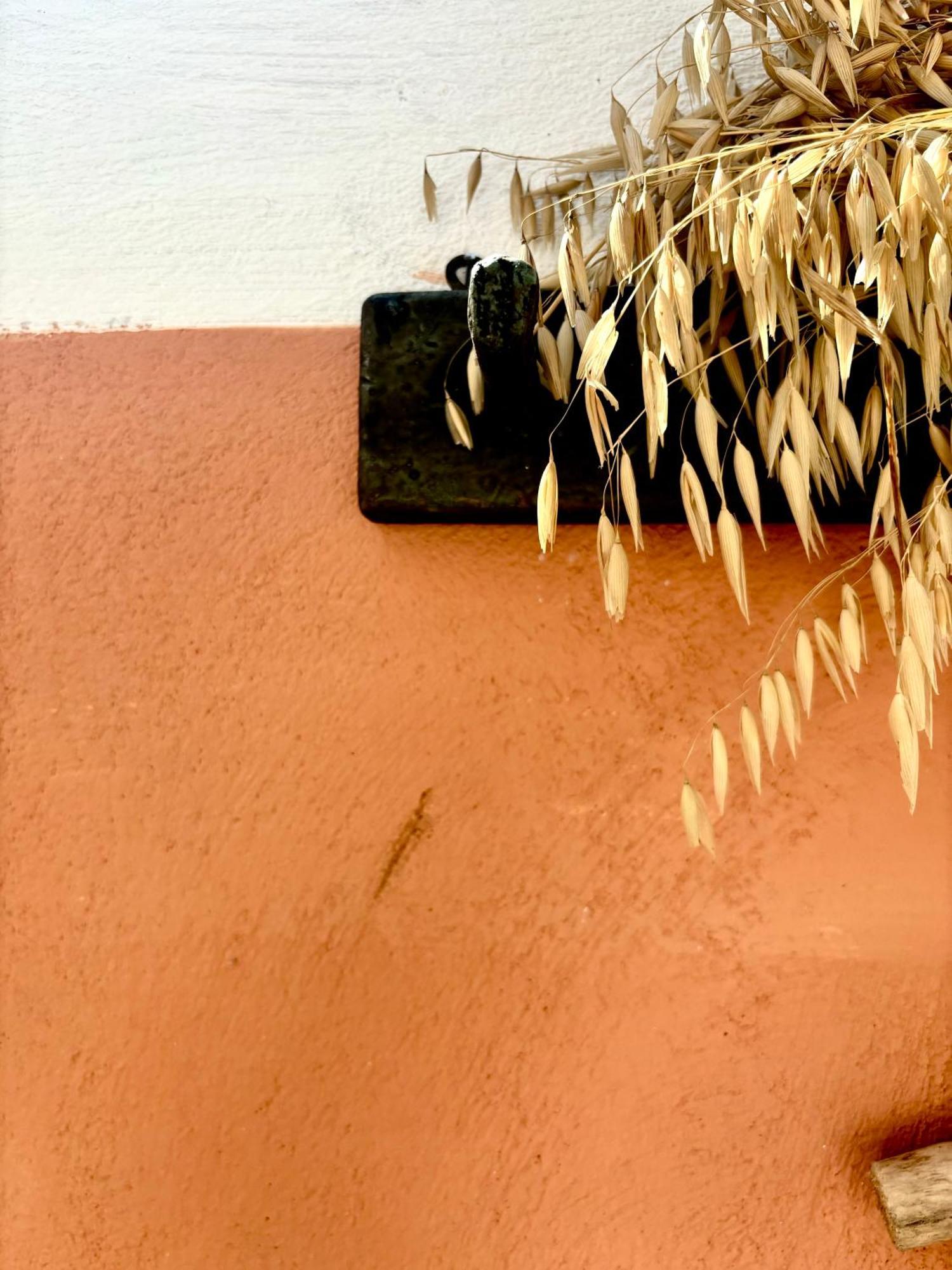 Traditional Corfiot House Perivólion エクステリア 写真
